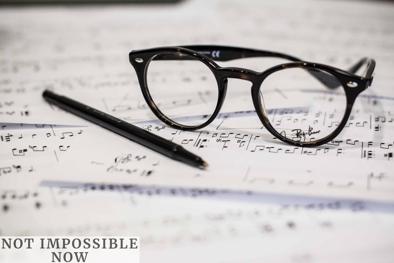 black framed panto-style eyeglasses beside black ballpoint pen