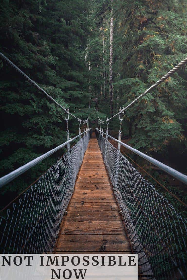 First Perspective Photography of Hanging Bridge