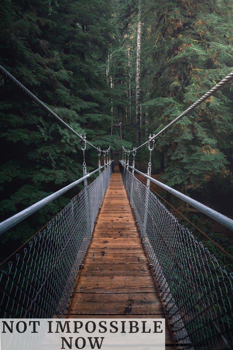 First Perspective Photography of Hanging Bridge