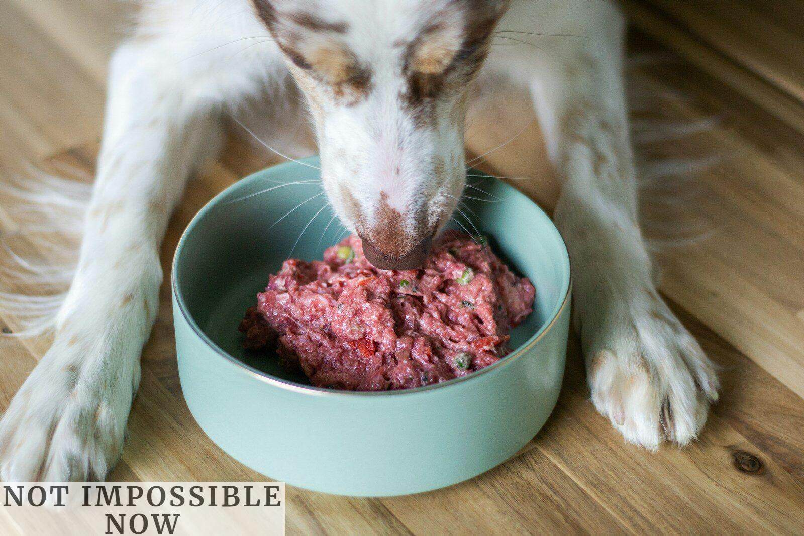 Cómo se elabora el alimento para perros: del ingrediente al producto final