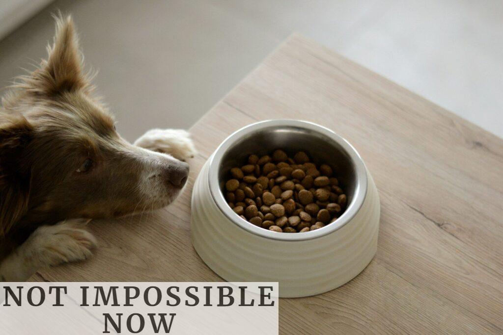 Cómo se elabora el alimento para perros